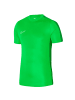 Nike Nike DF Academy Tee in Grün