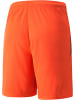 Puma Sportshorts "TeamLIGA Shorts" in Rot