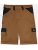Dickies Arbeitsshort "Everyday Short" in Schwarz