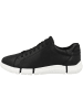 Geox Sneaker low U Adacter A in schwarz