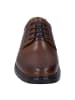 Josef Seibel Sneaker in braun