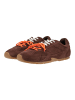 Steve Madden Sneaker MIDAS-O Chocolate