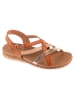 Skechers Skechers Desert Kiss Low - Peak Rank in Braun