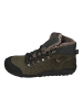 KOEL Ankle Boots Paul Lambwool in braun