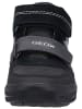 Geox Sneaker in Schwarz/Grau