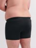 Erlich Textil  enge Boxershorts LIGHT TOUCH PANTS IM 3er PACK in anthrazit
