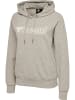 Hummel Hummel Kapuzenpullover Raglanärmel Hmlnoni Damen in GREY MELANGE