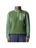 The North Face Fleecepullover Yumiori 1/4 Zip in Grün