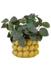 Butlers Blumentopf LEMON Zitronen in Gelb