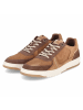 Bullboxer Low Sneaker in braun