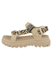 Palladium Sandale Pallacruise Strap Wd in beige