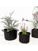 Intirilife Vlies Pflanzsack - Pflanzen Übertopf in 10x Schwarz - 11L - 25x22cm