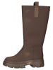 Steve Madden Stiefel in Braun