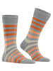 Burlington Socke Blackpool SO in Lunar
