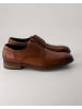 Daniel Kenneth Anzug- & Businessschuhe in Braun