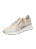 DL-Sport Sneaker Low in Gold