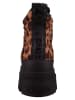 Buffalo Stiefeletten mehrfarbig