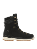 LOWA Stiefel RENEGADE EVO ICE 2 GTX in schwarz/honig