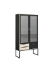 ebuy24 Vitrinenschrank Sady Schwarz 99 x 40 cm