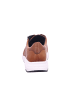 Solidus Sneaker Low in braun