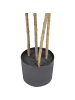 Beliani Kunstpflanze DRACAENA DRACO in Grün/Braun - (W) 50 x (H) 165 x (L) 50 cm