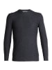 icebreaker Shirt Waypoint Crewe Sweater in Dunkelgrau