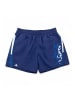 adidas Shorts Linear Graphic in Blau