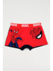 Spiderman Spiderman Boxershorts 4er Pack Unterhosen in blau