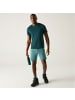 Regatta Mountain Shorts Kurze Wanderhose in Grün