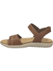 Josef Seibel Juliet 03 in cognac
