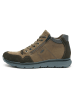 ara Stiefelette in braun