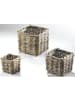 kobolo 3tlg. Set Blumentopf SQUAREBASK3 in Grau