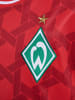 Hummel Hummel T-Shirt Wer 23/24 Fußball Kinder Schnelltrocknend in TRUE RED