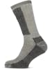 STAPP Socks Merino in beige/grau