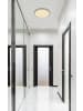 Globo lighting Deckenleuchte "SAPANA" in silver