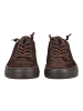 Paul Green Sneaker in Cacao