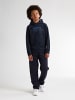 Petrol Industries Artwork Hoodie Wenatchee in Blau