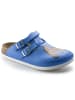 Birkenstock Clogs Kay in dog blue background