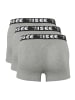 Chiemsee Boxershorts in Grau