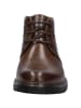 Josef Seibel Stiefelette Erroll 52 in braun