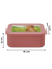 Mr. & Mrs. Panda MEPAL Bentobox Hund Blume Design ohne Spruch in Rot Pastell