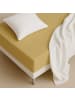 Schöner Wohnen Kollektion Spannbettlaken FLAT 1 in Gelb