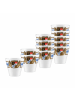 Seltmann Weiden 12er Set Stamper Compact Bayern in Bunt 50 ml in bunt
