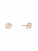 Gemshine Ohrhänger Pfote in rose gold coloured