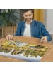 Ravensburger Puzzle 1.000 Teile Erwachsenenpuzzle 1000 Teile - The Huntington Desert Garden, Kalifornien, USA Ab 14 Jahre in bunt