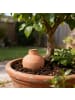 relaxdays 3 x Ollas in Terrakotta - 800 ml