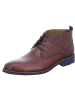 LLOYD Business Schuhe für Herren in mittel-braun