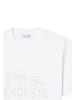 Lacoste T-Shirt in weiß