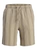 Jack & Jones Shorts in Seneca Rock
