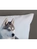 JACK 2 tlg. Renforcé Bettwäsche 135x200cm Arctic Dreams Husky in Blau